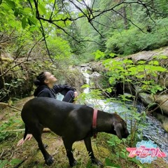 The Nature
