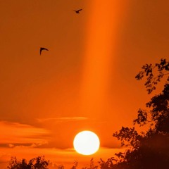 Bad Prophet (prod. jang0)