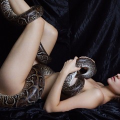 Creation is my Kink (explicit)