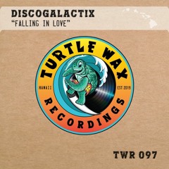 DiscoGalactiX - Falling In Love [Turtle Wax Recordings]