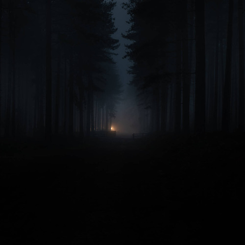 It happened in the Black Forest.