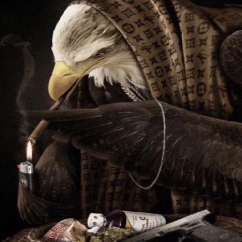 Águia Não Anda Com Águia #VLOGANG