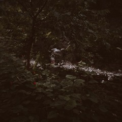 LaCasera (turkey stew)