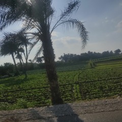 مهرجان مش شايفك يالي بتكرت عرفك ( الطيخاا ) 🤍🤍🔥