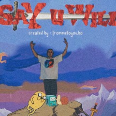 SAY U WILL (prod. Sapjer)