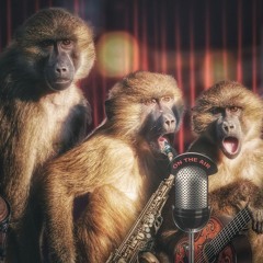 Bodybyebye (OSL, TWOSAEYO)