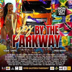 VYBZ BY THE PARKWAY 2K23 LIVE AUDIO (MANNY X WILLSTAR)