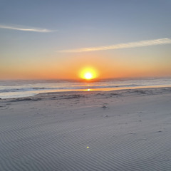 The Beach - Alon’s Version (Demo)