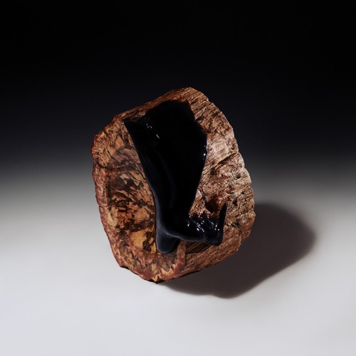 PREMIERE : Maenad Veyl & The Sarcasm Ensemble - Harsh Whispers (VEYL)