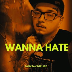 (WANNA HATE)