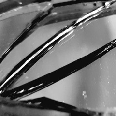 Fragments