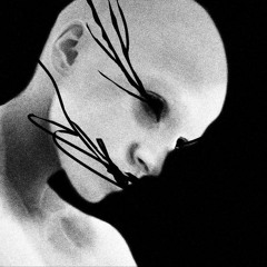 Hoji - do not weep at death (free download)