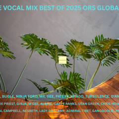 Reggae Vocal Mix Best of 2025 | ORS Global Radio Mix To Di Max!