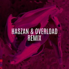 Flume - Rushing Back (Haszan & Overload Remix)