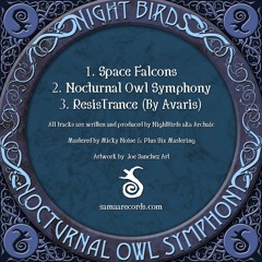 NightBirds - Space Falcons (Preview) Out On 21.06.2021