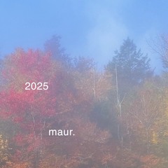 2025 by maur.