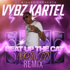 Stream VYBZ KARTEL - BEAT UP THE CAT (DOIN IT) REMIX - 19TH