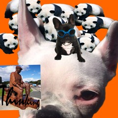 Exterior toadstool merchant