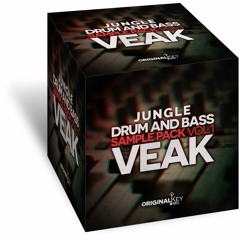 Jungle DnB by Veak