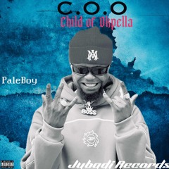 PaleBoy Anything