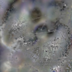 Localized Object - Meltmix