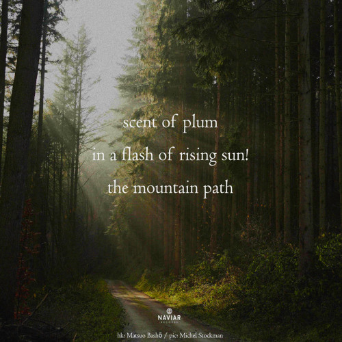 the mountain path [naviarhaiku602]