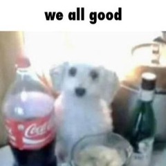 sancatchop1