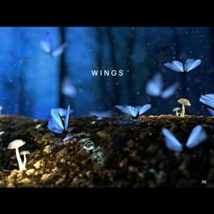 Wings