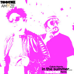 In the Summer - Tommy Dee 2024 Remix