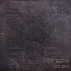 TMSFX - 05.24.