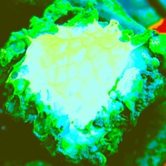 UNKNOWN OBJECT 001