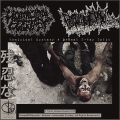 Homicidal Ecstasy - Autopsy gone completely wrong