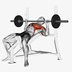 On Wednesday We Bench - Gym Mix
