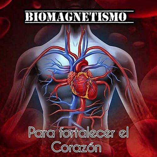 TRATAMIENTO DE IMANES visual data 8