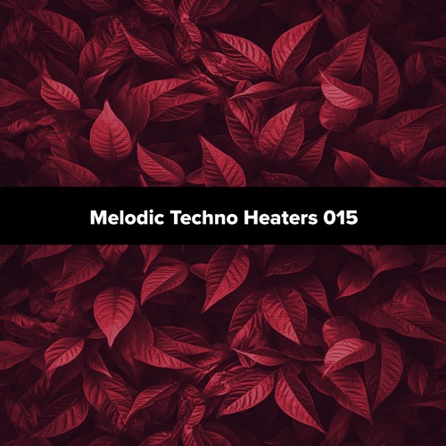 Melodic Techno Heaters 015