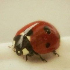 i know its weird to say you changed me!! >~<.m4r