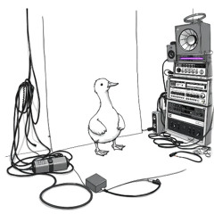 Go ahead - no vocals