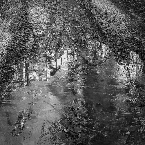 Coyara - Mantra (Extended Mix)