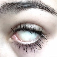 srrw - bender (westani) [slipbrick + 8teen exclusive]