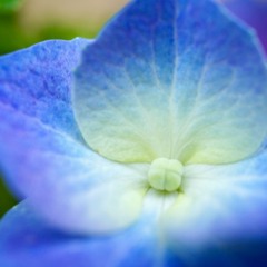 ACIM Lesson 33 There is another way of looking at this.