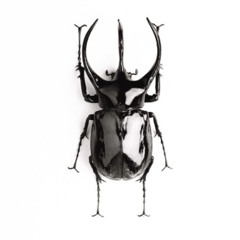 Spectral Union, No Mind & 1001-Circuit [Mellon Place Records]