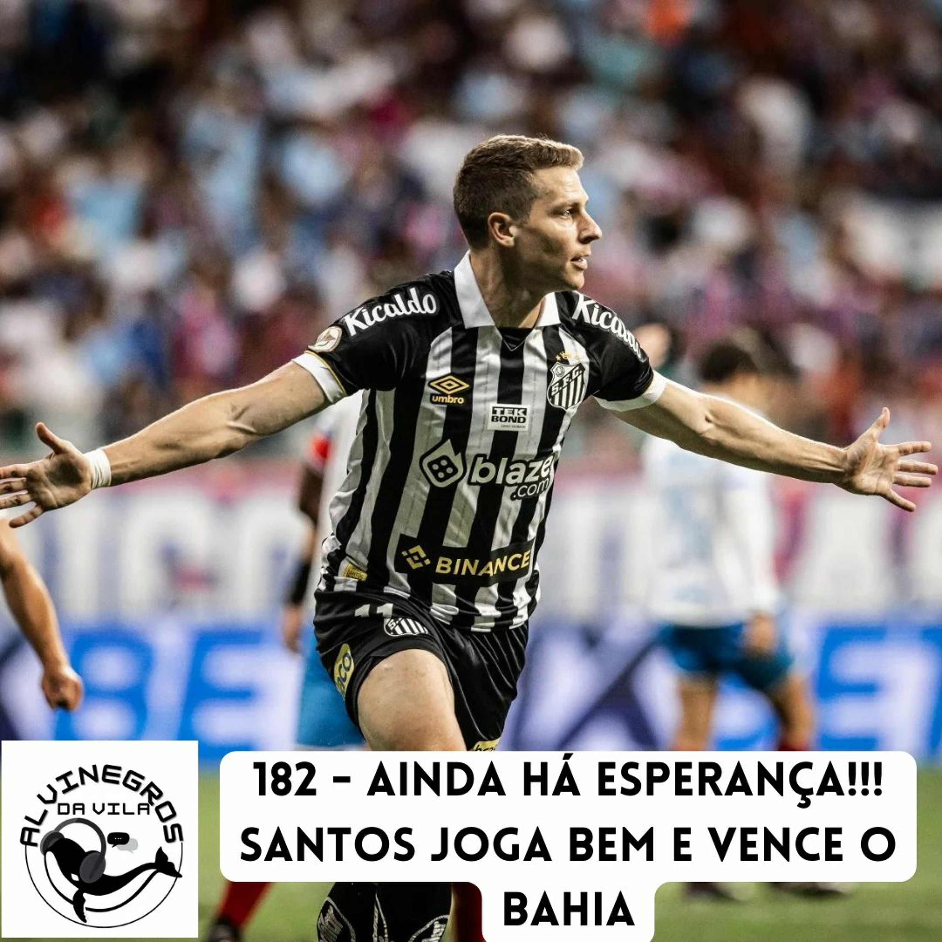 Alvinegros da Vila