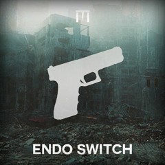 Endo Switch