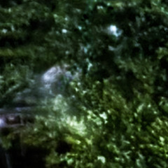 FTBS (TripHop Mix)