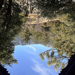 variable/the other side (demo)