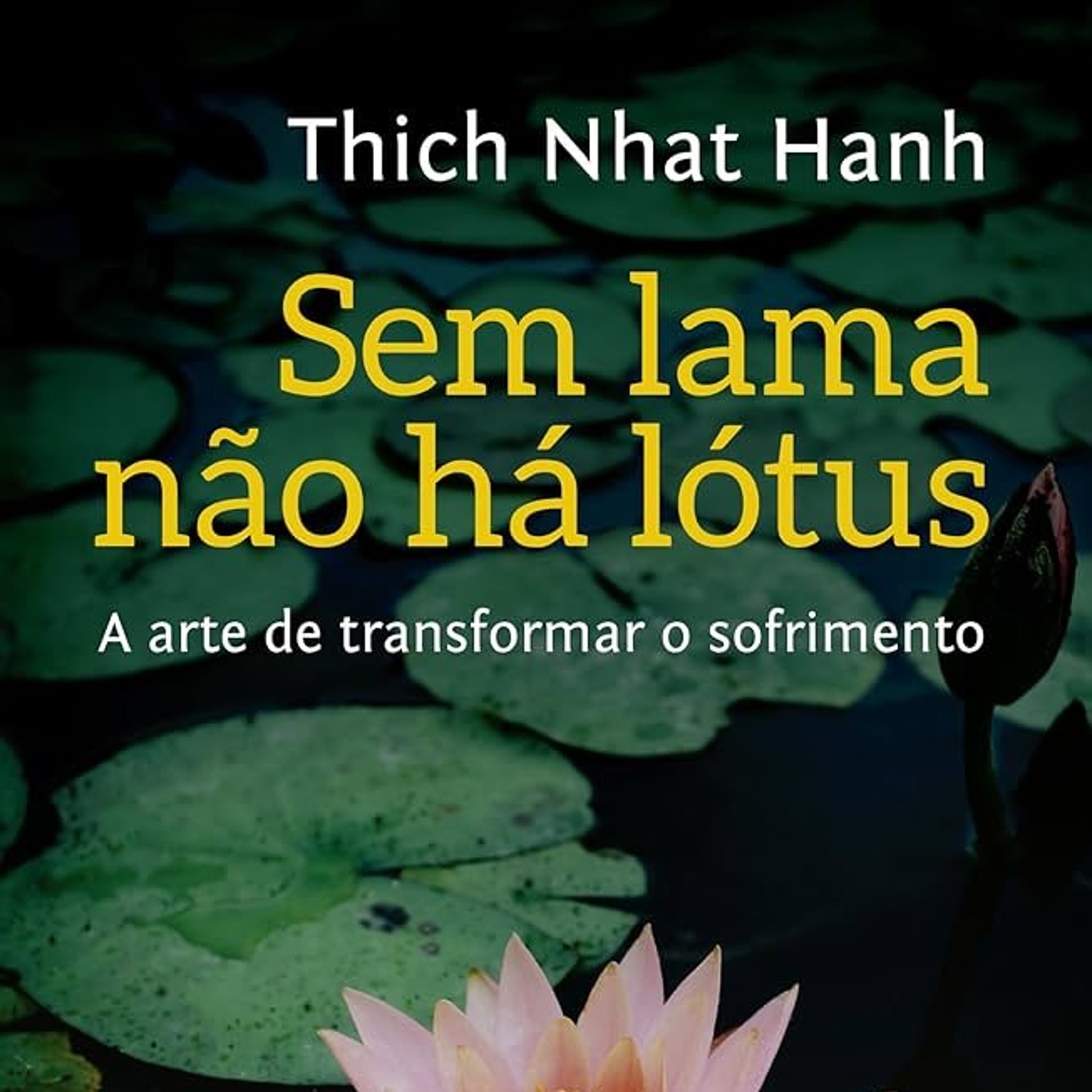 #591 Enrosco. Sem Lama Não Há Lótus, ep.03