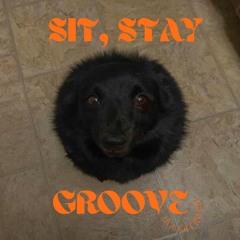 Sit, Stay, Groove