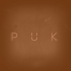 Calopteryx - 4.Normal [PUK game OST]