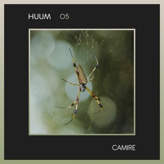 HUUM 05 - Camire