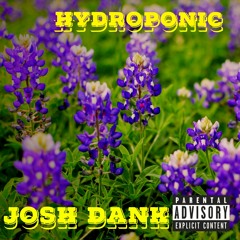 Hydroponic
